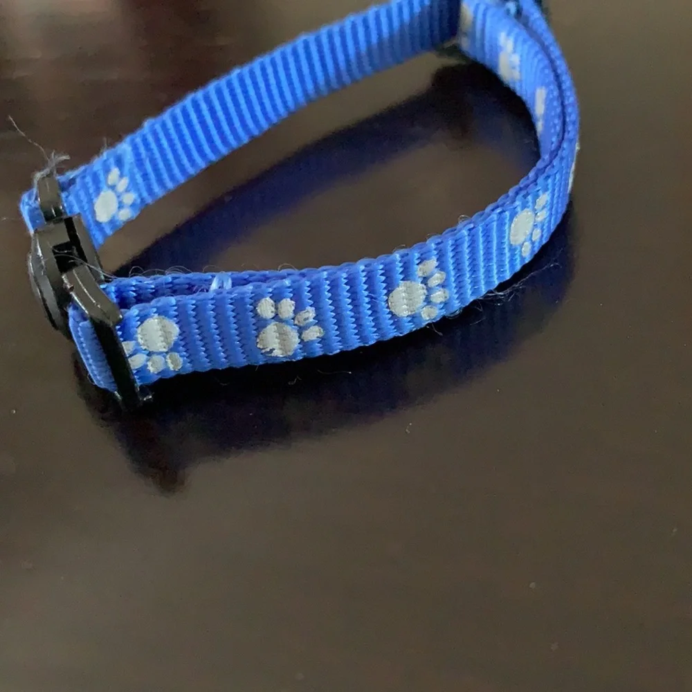 Kitten Collar